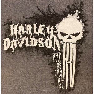 Harley-Davidson H-D Men's Casual T-Shirt Gray New York NY Bad As Can Be 4XL